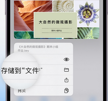 灵丘apple维修中心分享iPhone文件应用中存储和找到下载文件