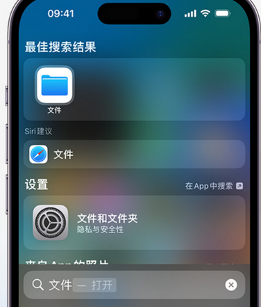 灵丘apple维修中心分享iPhone文件应用中存储和找到下载文件