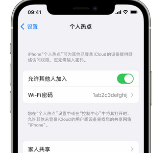 灵丘apple服务站点分享iPhone上个人热点丢失了怎么办 