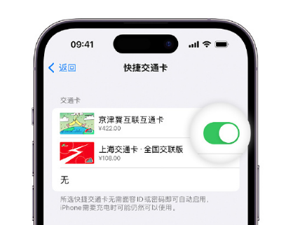 灵丘apple维修点分享iPhone上更换Apple Pay快捷交通卡手绘卡面 