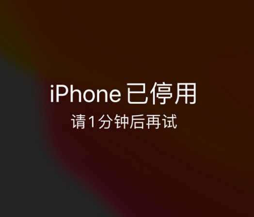 灵丘苹果手机维修分享:iPhone 显示“不可用”或“已停用”怎么办？还能保留数据吗？ 