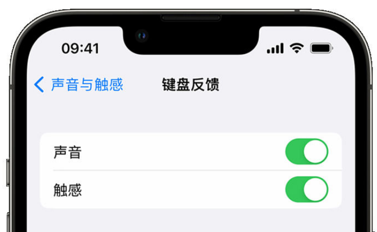 灵丘苹果手机维修分享iPhone 14触感键盘使用方法 