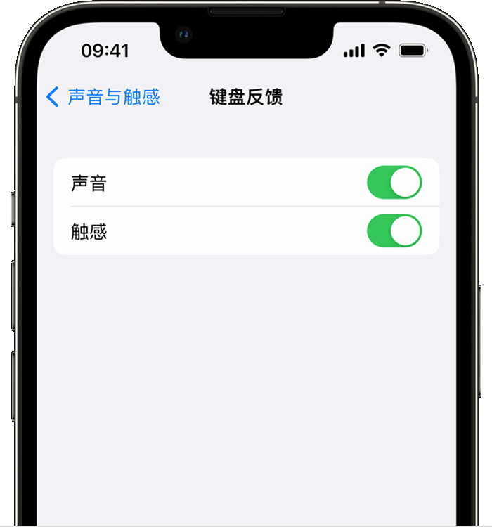 灵丘苹果14维修店分享如何在 iPhone 14 机型中使用触感键盘 