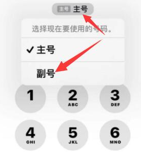 灵丘苹果14维修店分享iPhone 14 Pro Max使用副卡打电话的方法 