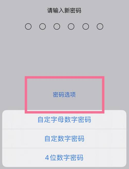 灵丘苹果14维修分享iPhone 14plus设置密码的方法 