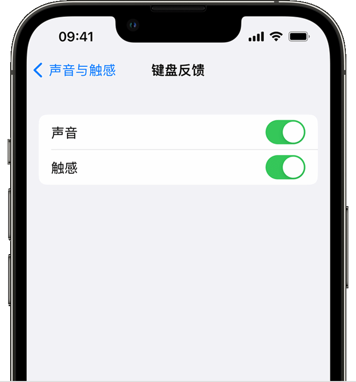 灵丘苹果14维修分享iPhone 14 系列机型如何开启键盘声音或触感反馈 