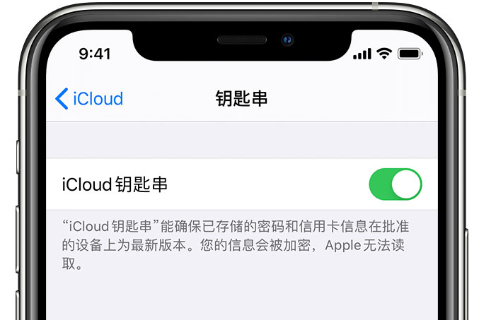 灵丘苹果手机维修分享在 iPhone 上开启 iCloud 钥匙串之后会储存哪些信息 