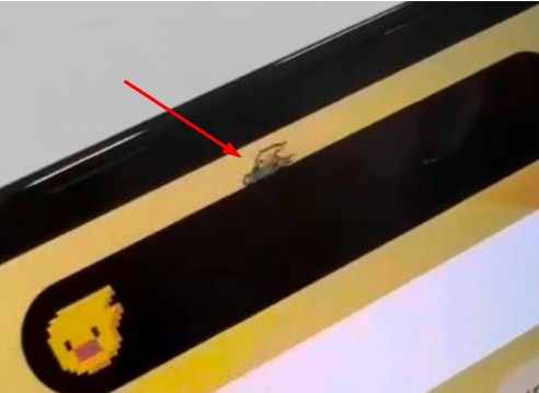 灵丘苹果14维修分享iPhone 14 Pro Max灵动岛怎么养宠物 
