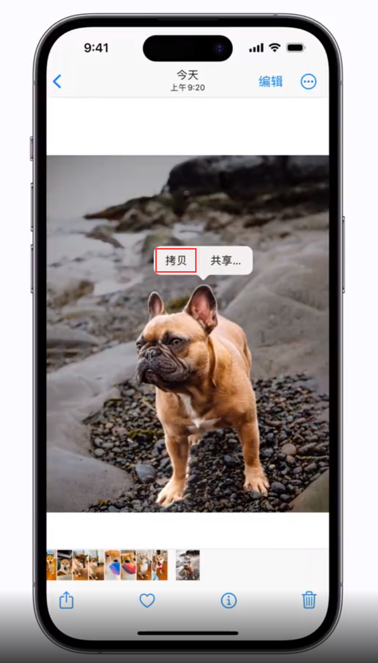 灵丘苹果手机维修分享 iOS 16 自带一键抠图功能 