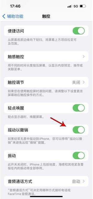 灵丘苹果手机维修分享iPhone手机如何设置摇一摇删除文字 