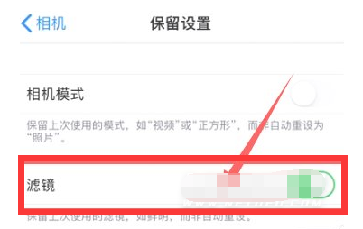 灵丘苹果13维修分享iPhone13拍照有绿点是怎么回事 