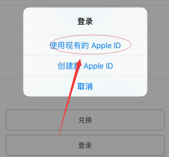 灵丘苹果手机维修分享两台iPhone设备可以同时登录一个Apple ID吗 