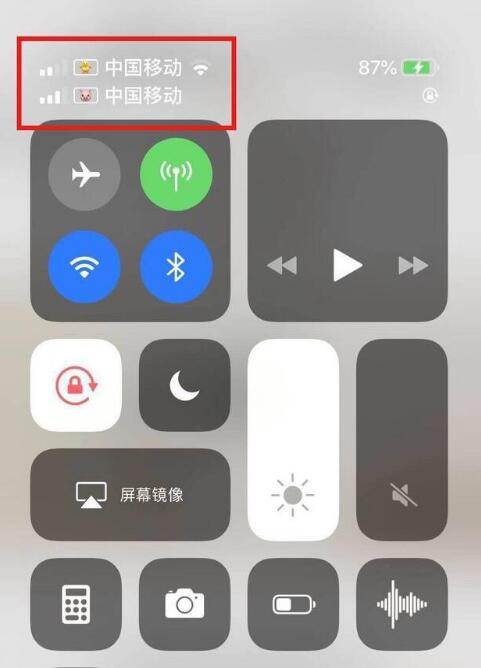 灵丘苹果手机维修分享为 iPhone 12 双卡设置标签 