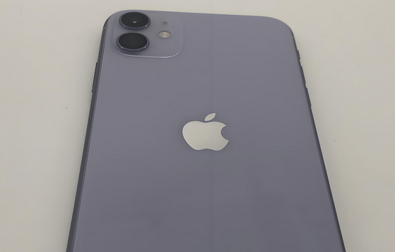 灵丘苹果11系统维修分享iPhone11手机系统崩溃无法开机如何解决 